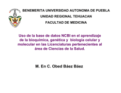 05 - IME Presentacion