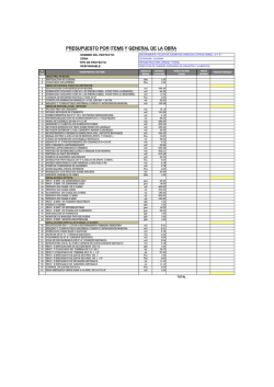 PRESUPUESTO POR ITEMS Y GENERAL DE LA OBRA