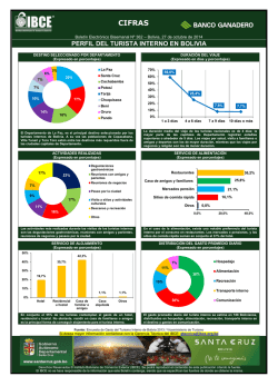 Perfil del Turista Interno en Bolivia - IBCE