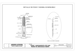 DETALLE DE POZO Y BOMBA SUMERGIBLE