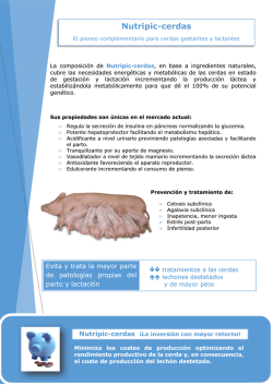 Nutripic-cerdas - Prebiotec