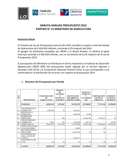 minuta an&aacute;lisis presupuesto 2015 partida n&deg; 13 ministerio de