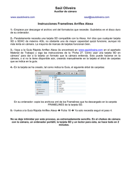 Instrucciones FrameLines Alexa - Sa&uacute;l Oliveira