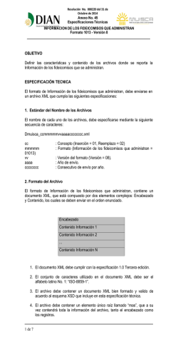 Anexo 45 Formato 1013 V8 - Dian