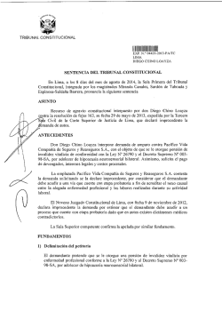 111 BIII IA1h111EI1I111111 - Tribunal Constitucional del Per&uacute;