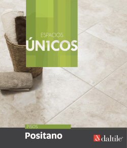 Folleto del producto Ficha T&eacute;cnica - Daltile