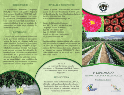 triptico diplomado - Universidad Aut&oacute;noma Chapingo