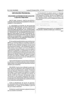 DIPUTACI&Oacute;N PROVINCIAL - Diputaci&oacute;n de C&aacute;ceres