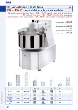 SX impastatrice a testa fissa TSX &bull; TSVX - GAM International