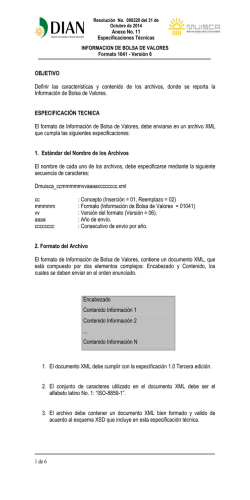 Anexo 11 Formato 1041v6 - Dian