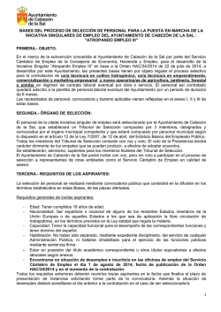 Bases Iniciativa Singular de Empleo 2015