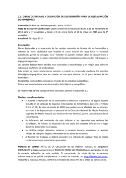 1.3. OBRAS DE DRENAJE Y DESVIACI&Oacute;N DE - Extremambiente