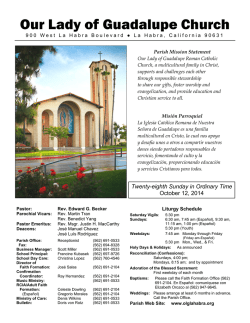 Bulletin / bolet&iacute;n - Our Lady of Guadalupe Catholic Church