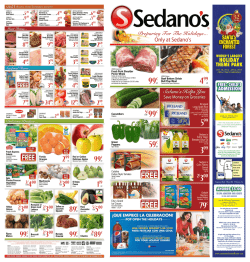 South Florida Flyer - Sedanos