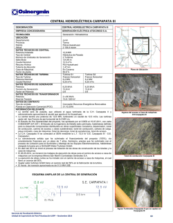 CENTRAL HIDROEL&Eacute;CTRICA CARPAPATA III