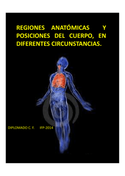 Regiones anatomicas