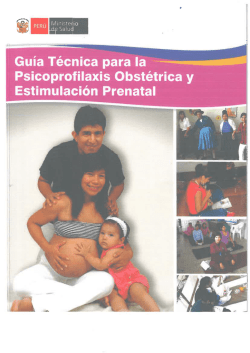 Psicoprofilaxis Obst&eacute;trica y Estimulaci&oacute;n Prenatal - Ministerio de Salud