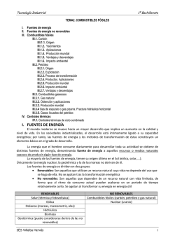 COMBUSTIBLES FOSILES