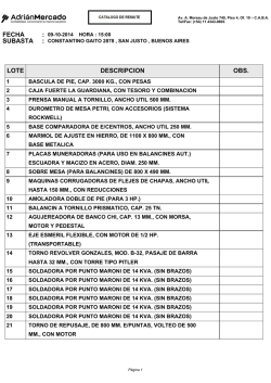 FECHA LOTE DESCRIPCION OBS. - Adrian Mercado