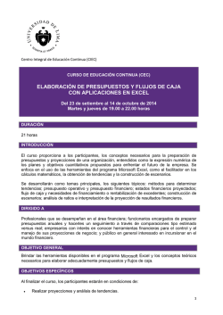 elaboraci&oacute;n de presupuestos y flujos de caja con aplicaciones en