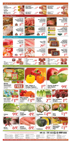 South Florida Flyer - Sedanos