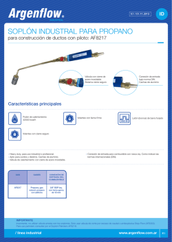 SOPL&Oacute;N INDUSTRAL PARA PROPANO - Anstra