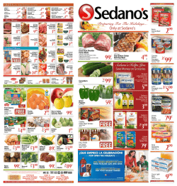 Orlando Flyer - Sedanos