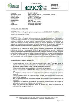 ficha t&eacute;cnica - Silvestre