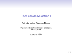 T&eacute;cnicas de Muestreo I - Departamento de Probabilidad y Estad&iacute;stica