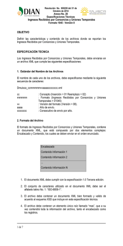 Anexo 28 Formato 1045v8 - Dian