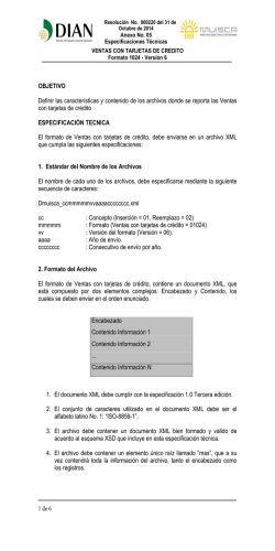 Anexo 5 Formato 1024v6 - Dian