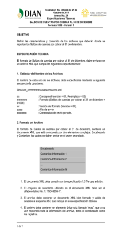 Anexo 24 Formato 1008v7 - Dian