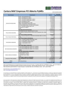 MAF Empresas FCI Abierto Pymes - Fondos Comunes de Inversi&oacute;n