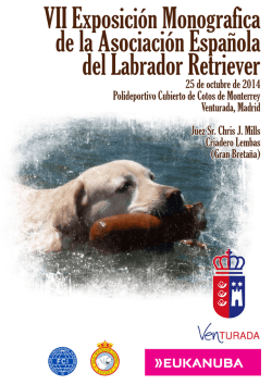 cat&aacute;logo - Asociaci&oacute;n Labrador Retriever