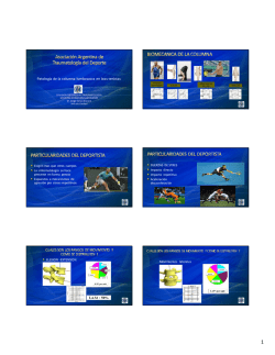 Patolog&iacute;a de la columna lumbosacra en los tenistas