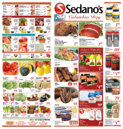 Orlando Flyer - Sedanos