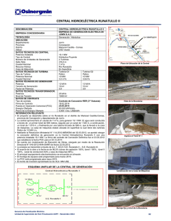 CENTRAL HIDROEL&Eacute;CTRICA RUNATULLO II