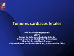 Ver Presentacion - CERPO