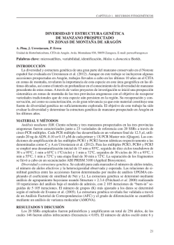 Maquetaci&oacute;n 1