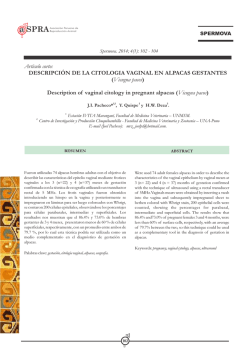 Vicugna pacos - ReproduccionAnimal.org