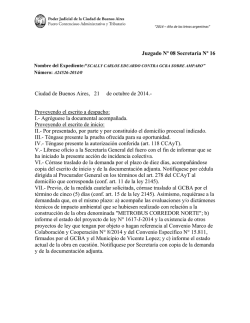 Ver medidas_previas_a_resolver_medida_cautelar.pdf