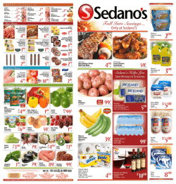 Orlando Flyer - Sedanos