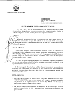 1IIIIlll11ti VII - Tribunal Constitucional del Per&uacute;