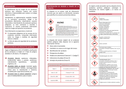 Recomendaciones b&aacute;sicas para la identificaci&oacute;n de los riesgos de