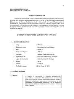 DIRECTOR COLEGIO &ldquo; LICEO MUNIICIPAL&rdquo; DE CODEGUA