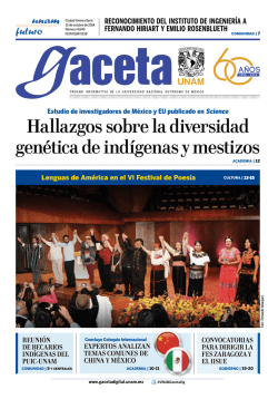 Hallazgos sobre la diversidad gen&eacute;tica de ind&iacute;genas y mestizos