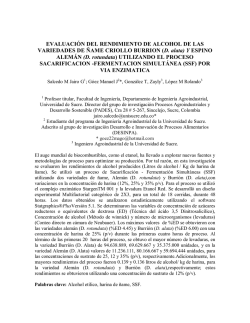 evaluaci&oacute;n del rendimiento de alcohol de las variedades de &ntilde;ame