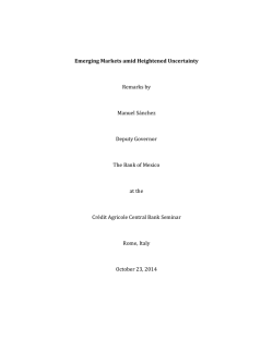 Emerging Markets amid Heightened Uncertainty Remarks by