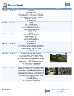 Fincas Venta - Amorel Pasto