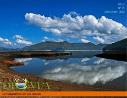 Descargar (8Mb) - Institutional Repository of the University of El